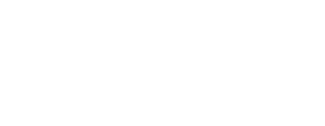 DJ Weslo Logo 2023